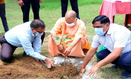 जुलाई में 35 करोड़ पौधों की होगी रोपाई, नर्सरी में तैयार होंगे 50 करोड़ पौधे