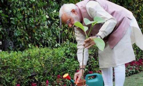 पीएम मोदी ने पर्यावरण दिवस पर पौधा लगाया